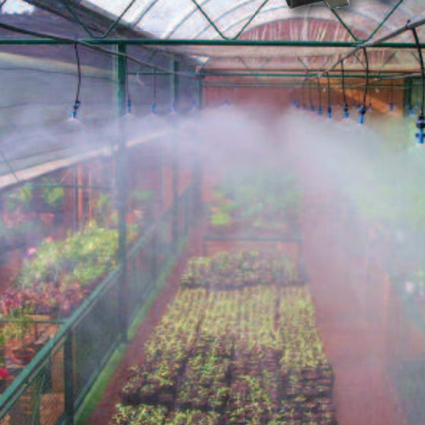 آشنایی با سیستم مه پاش در گلخانه